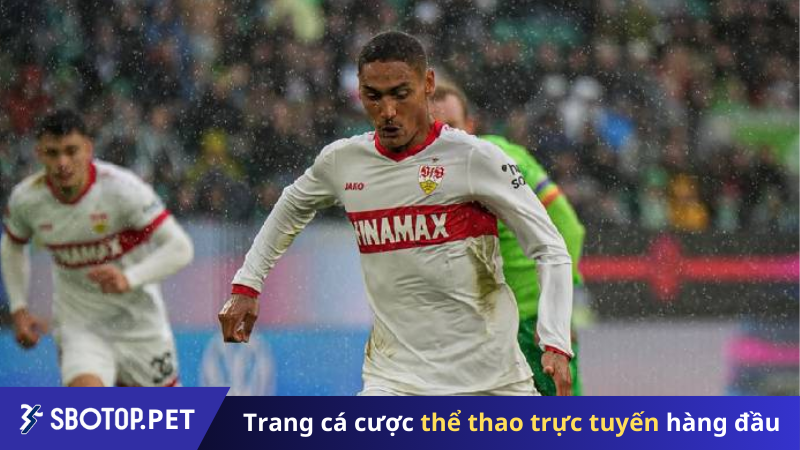 Nhận định soi kèo trận Stuttgart vs Sparta Prague, 23h45 ngày 1_10_ Khó cho Thiên nga